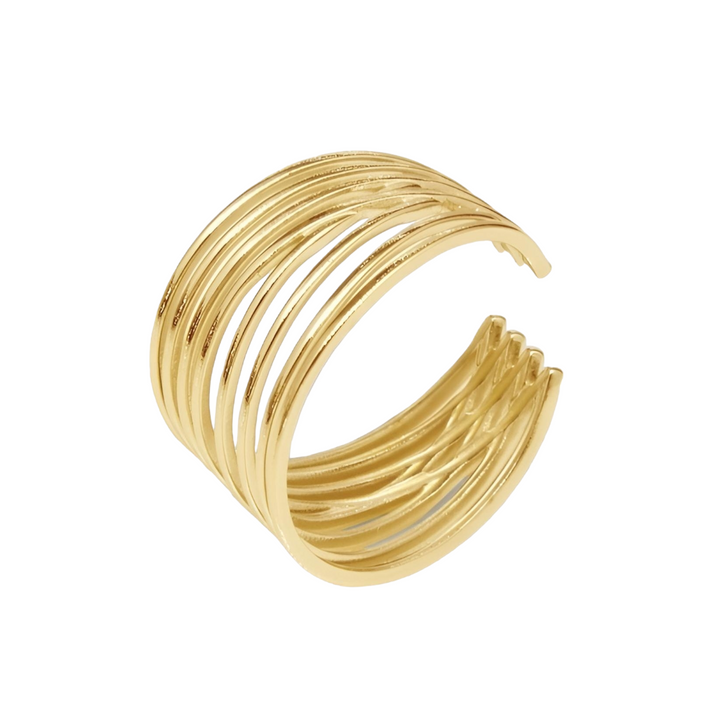 Ring med tynde linjer - 14 karat forgyldt titanium