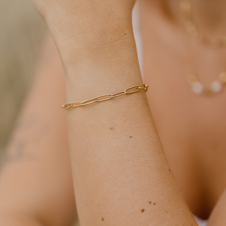 Link armbånd i 18 karat forgyldt titanium