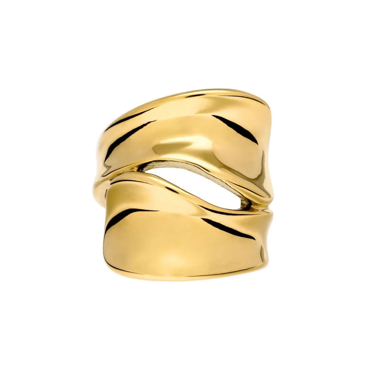 Statement ring i 18 karat forgyldt titanium