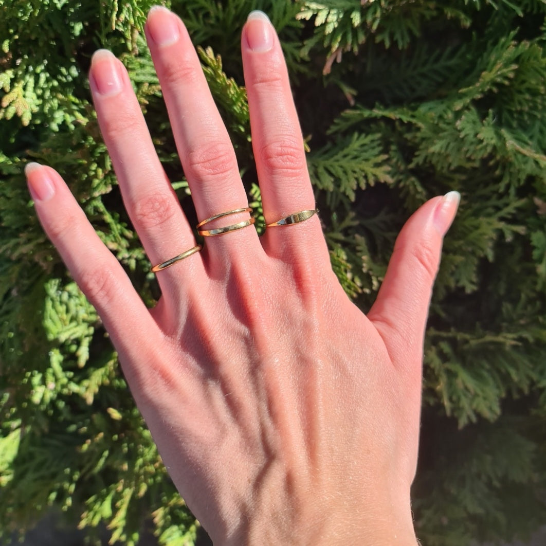 Enkel ring i 18 karat forgyldt titanium